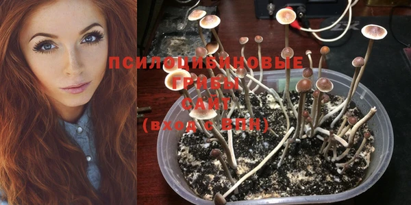 PSILOCYBIN Пролетарск