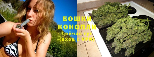 PSILOCYBIN Пролетарск