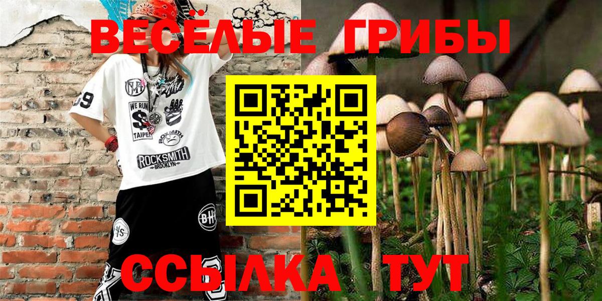 как найти закладки  Псилоцибиновые грибы прущие грибы  Вход с VPN  Новосибирск 