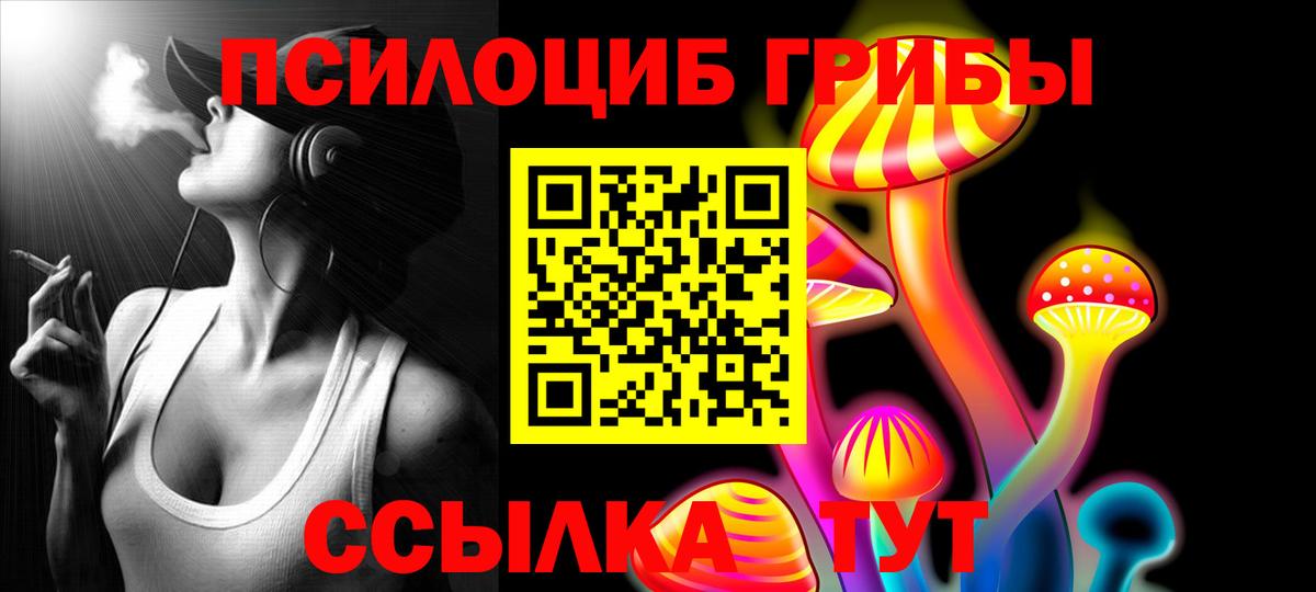 купить  сайты  Новосибирск  Псилоцибиновые грибы MAGIC MUSHROOMS 