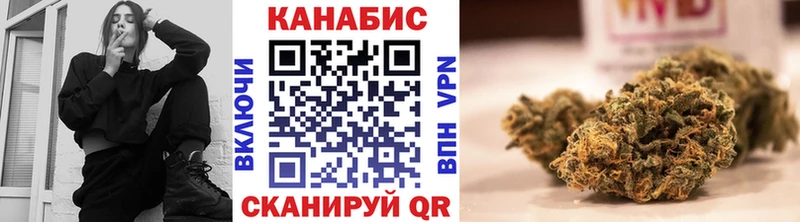 Марихуана сатива  дарнет шоп  Новосибирск 